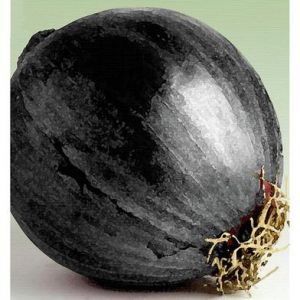 Black Onion Seed