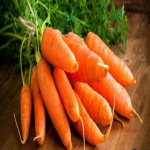 Carrot Seed