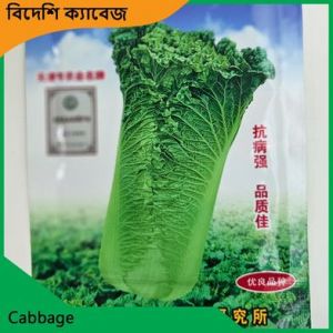 China Cabbage Seeds