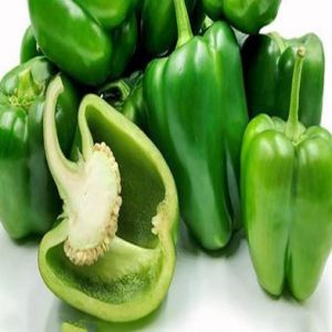 Green Capsicum Seed