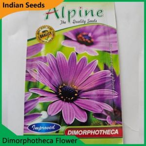 Dimorphotheca Flower Seeds