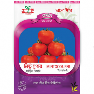 Mintoo Super Hybrid Tomato Seed