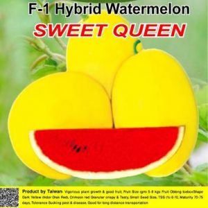 Naomi Seed Watermelon Sweet Queen - 1 gm