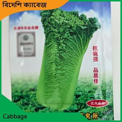 China Cabbage Seeds