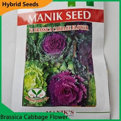 Deshi Flower Seeds- Brassica Cabbage Flower