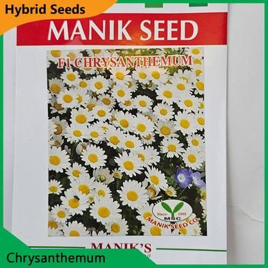 Deshi Flower Seeds- Chrysanthemum