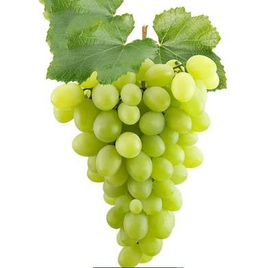 Graps Fruit Seed