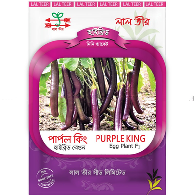 Purple King Hybrid Eggplant Seed F1