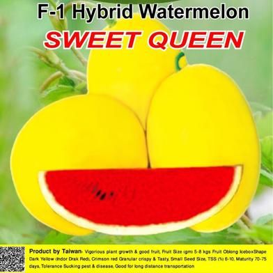 Naomi Seed Watermelon Sweet Queen - 1 gm